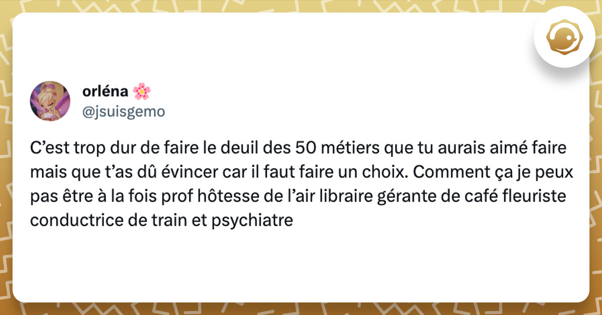 Tweet de @jsuisgemo : "C’est trop dur de faire le deuil des 50 métiers que tu aurais aimé faire mais que t’as dû évincer car il faut faire un choix. Comment ça je peux pas être à la fois prof hôtesse de l’air libraire gérante de café fleuriste conductrice de train et psychiatre"