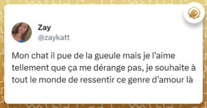 Tweet de @zaykatt : "Mon chat il pue de la gueule mais je l’aime tellement que ça me dérange pas, je souhaite à tout le monde de ressentir ce genre d’amour là"