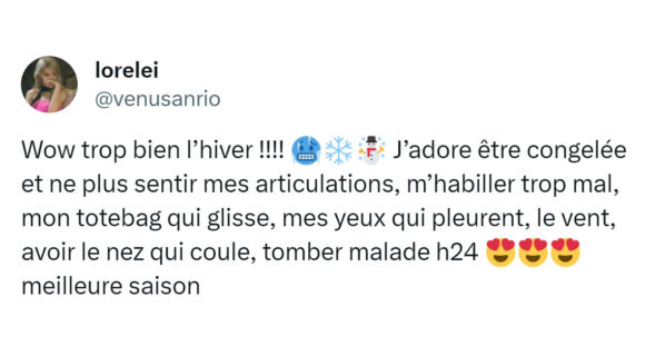 Image de couverture de l'article : Top 15 des meilleurs tweets sur le froid, ça commence à piquer là