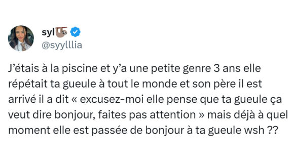 Image de couverture de l'article : Top 15 des meilleurs tweets sur la piscine municipale, plouf