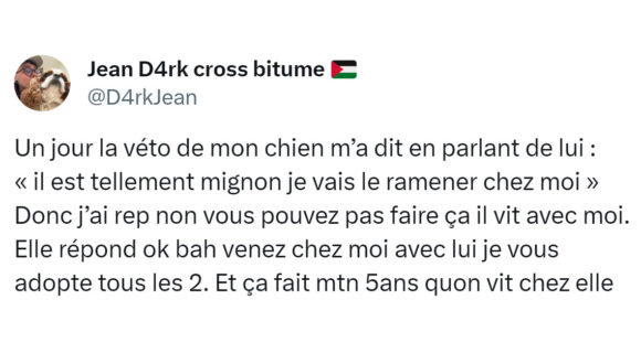 Image de couverture de l'article : Top 15 des meilleurs tweets sur les vétos, merci pour nos animaux