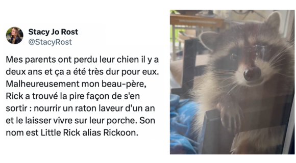 Image de couverture de l'article : L’incroyable histoire de Little Rick, le raton-laveur devenu chien