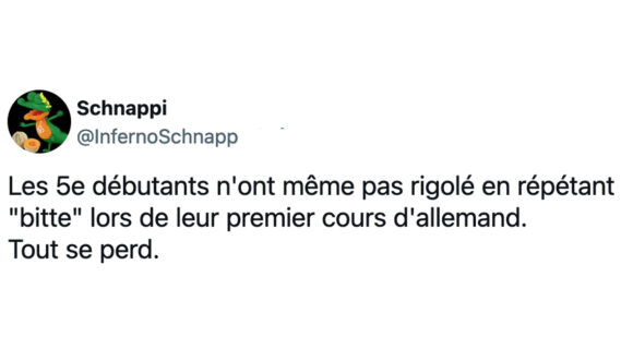 Image de couverture de l'article : Les 15 meilleurs tweets sur l’allemand, une langue vouée à disparaître ?