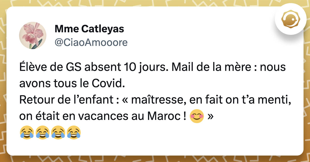 tweet de @CiaoAmooore : "Élève de GS absent 10 jours. Mail de la mère : nous avons tous le Covid. Retour de l’enfant : « maîtresse, en fait on t’a menti, on était en vacances au Maroc ! 😊 » 😂😂😂😂"