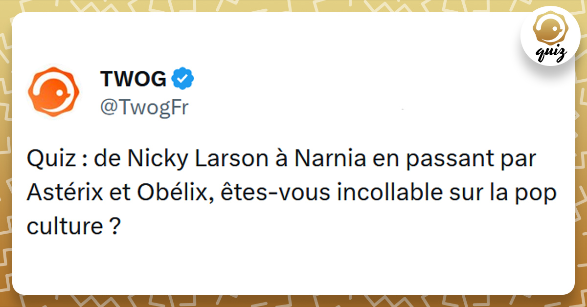 Tweet liseré de jaune de @TwogFr disant "Quiz de Nicky Larson à Narnia en passant par Astérix et Obélix, êtes-vous incollable sur la pop culture ?"