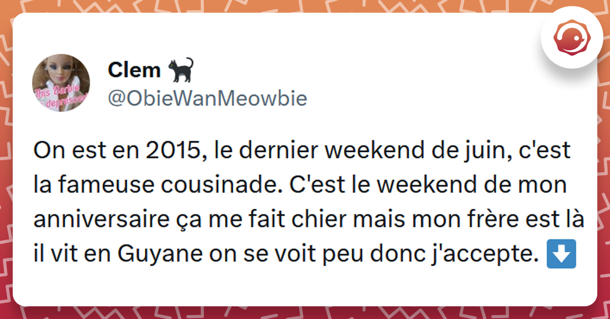 Tweet liseré de rouge de @ObieWanMeowbie disant "On est en 2015, le dernier weekend de juin, c'est la fameuse cousinade. C'est le weekend de mon anniversaire ça me fait chier mais mon frère est là il vit en Guyane on se voit peu donc j'accepte."