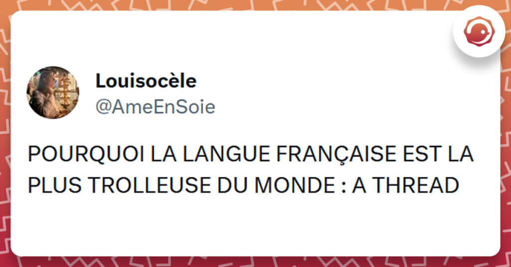 Tweet liseré de rouge de @AmeEnSoie disant "POURQUOI LA LANGUE FRANÇAISE EST LA PLUS TROLLEUSE DU MONDE : A THREAD"