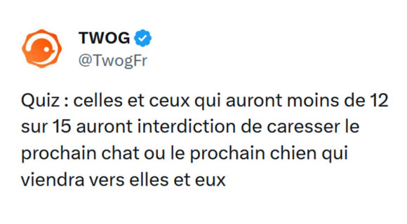 Image de couverture de l'article : Quiz : 15 questions de culture générale #239