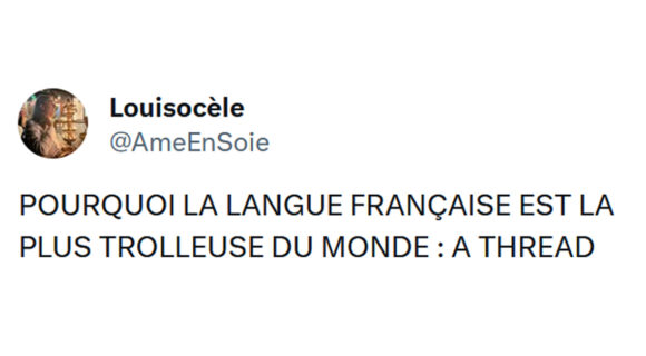 Image de couverture de l'article : Le français, cette langue qui se fiche de nous