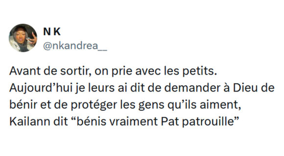 Image de couverture de l'article : Top 15 des tweets les plus drôles sur la Pat’ Patrouille