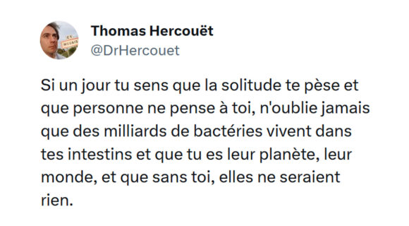 Image de couverture de l'article : Top 15 des tweets les plus drôles sur la solitude