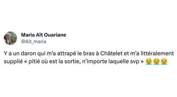 Image de couverture de l'article : Top 15 des meilleurs tweets sur Châtelet, une gare, un quartier, un enfer