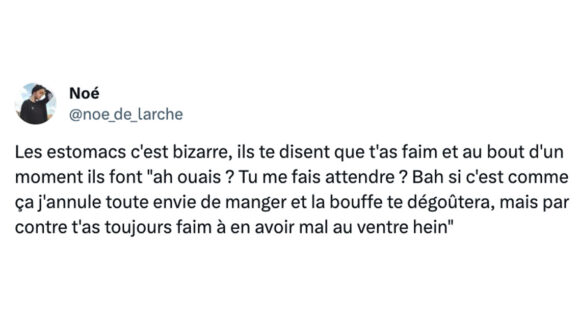 Image de couverture de l'article : Top 15 des meilleurs tweets sur l’estomac, bruyant celui-là