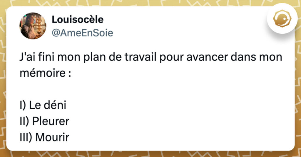 Tweet de @AmeEnSoie : "J'ai fini mon plan de travail pour avancer dans mon mémoire : I) Le déni II) Pleurer III) Mourir"