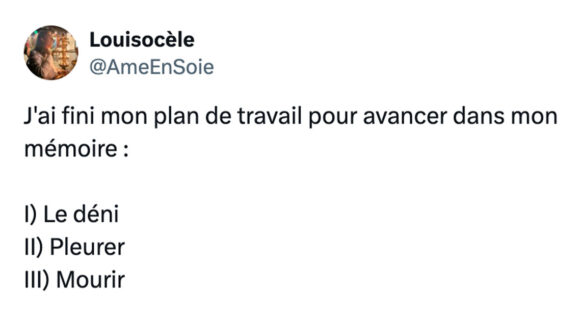 Image de couverture de l'article : Top 15 des meilleurs tweets sur le mémoire, faut vraiment l’écrire ?