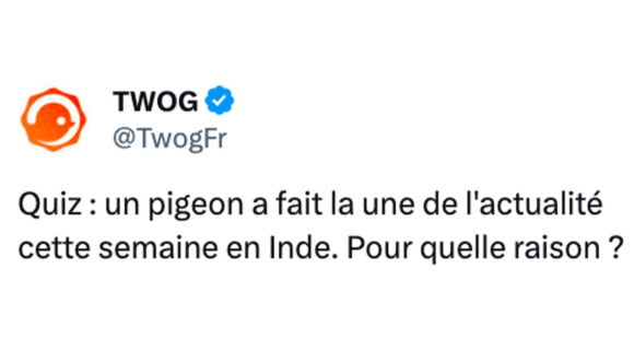 Image de couverture de l'article : Quiz : êtes-vous incollable sur l’actualité de cette semaine ? #23