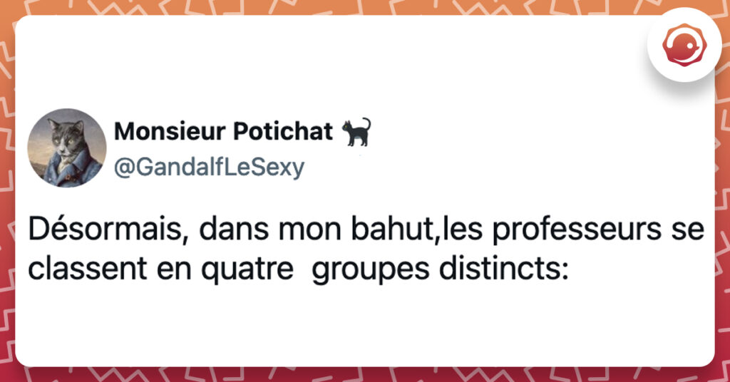 Les 4 catégories de profs @GandalfLeSexy Désormais, dans mon bahut,les professeurs se classent en quatre groupes distincts: