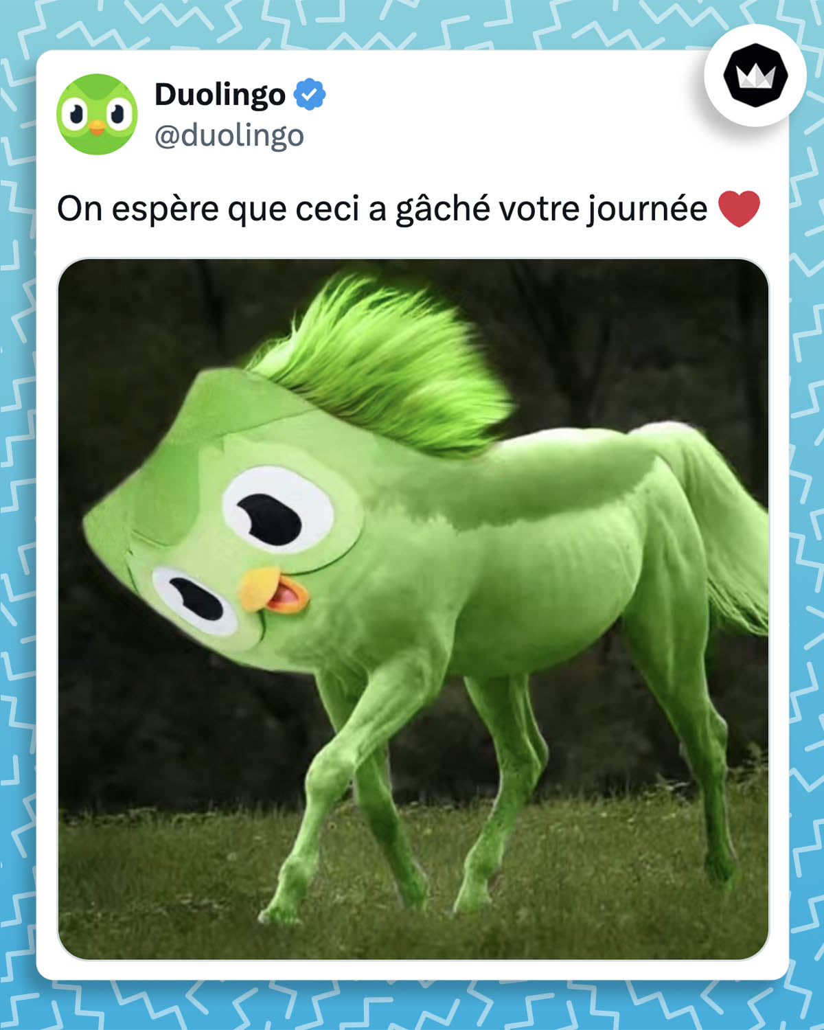 Duolingo : "On espère que ceci a gâché votre journée" Montage d'un cheval bleu surmonté de la tête de la mascotte de Duolingo