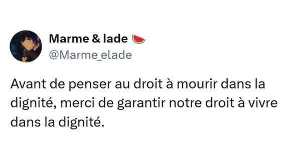 Image de couverture de l'article : Les 15 meilleurs tweets de @Marme_elade