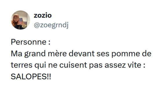 Image de couverture de l'article : Les 15 meilleurs tweets de @zoegrndj