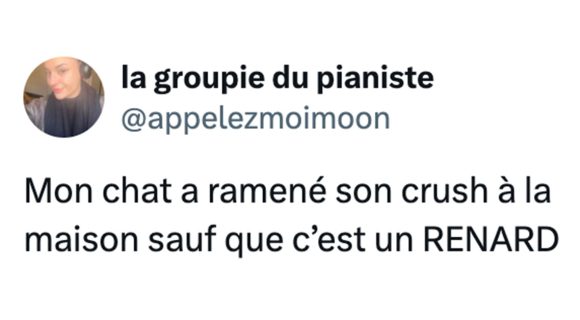 Image de couverture de l'article : Top 15 des meilleurs tweets à la maison, meilleur endroit au monde