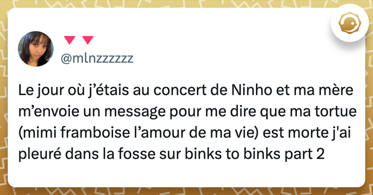 Tweet de @mlnzzzzzz : "Le jour où j’étais au concert de Ninho et ma mère m’envoie un message pour me dire que ma tortue (mimi framboise l’amour de ma vie) est morte j'ai pleuré dans la fosse sur binks to binks part 2"