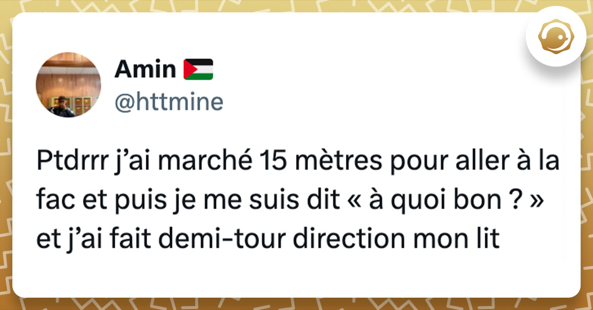 Tweet de @httmine : "Ptdrrr j’ai marché 15 mètres pour aller à la fac et puis je me suis dit « à quoi bon ? » et j’ai fait demi-tour direction mon lit"