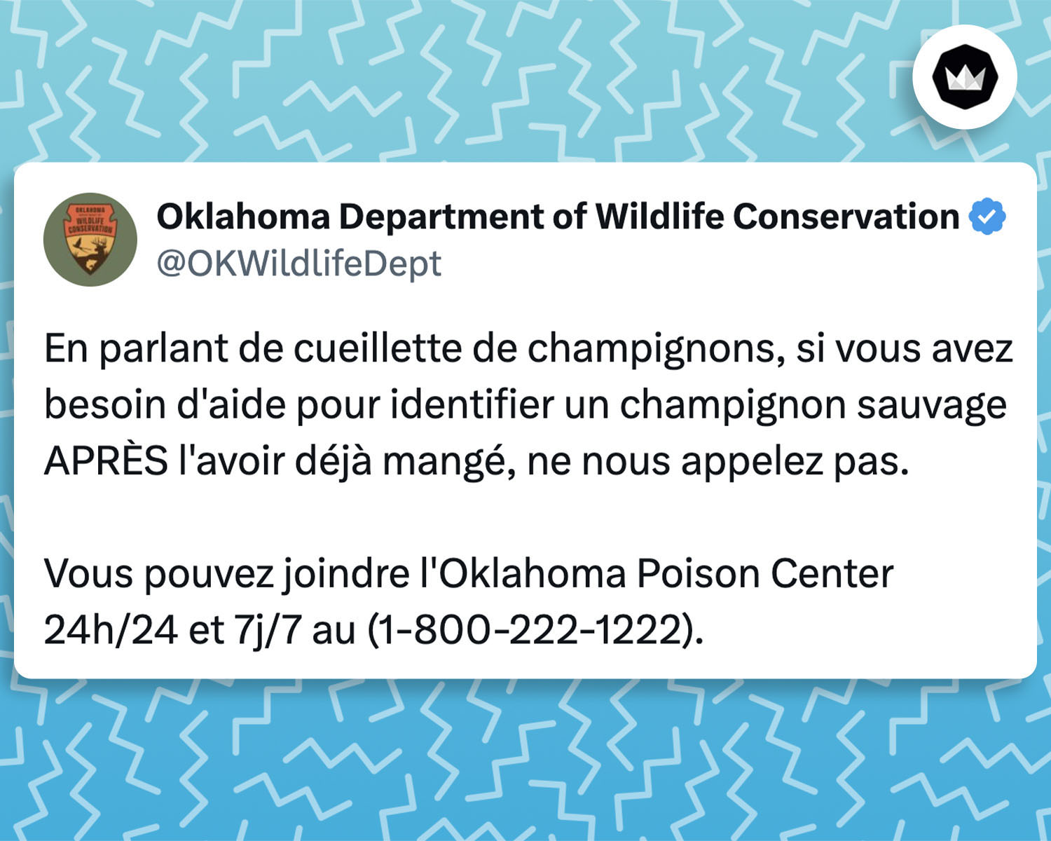 tweet de OKWildlifeDept : En parlant de cueillette de champignons, si vous avez besoin d’aide pour identifier un champignon sauvage APRÈS l’avoir déjà mangé, ne nous appelez pas. Vous pouvez joindre l’Oklahoma Poison Center 24h/24 et 7j/7 au.