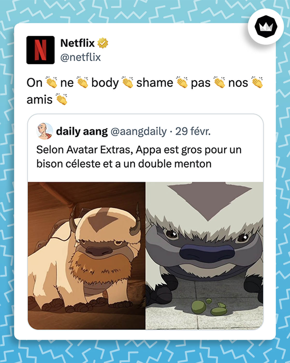 Netflix : On ne body shame pas nos amis
Internaute : Selon Avatar Extras, Appa est gros pour un bison céleste et a un double menton.