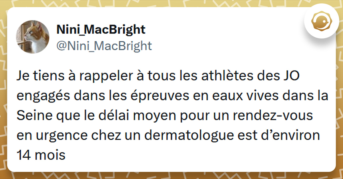 Tweet liseré de jaune de @Nini_MacBright disant "Je tiens à rappeler à tous les athlètes des JO engagés dans les épreuves en eaux vives dans la Seine que le délai moyen pour un rendez-vous en urgence chez un dermatologue est d’environ 14 mois"