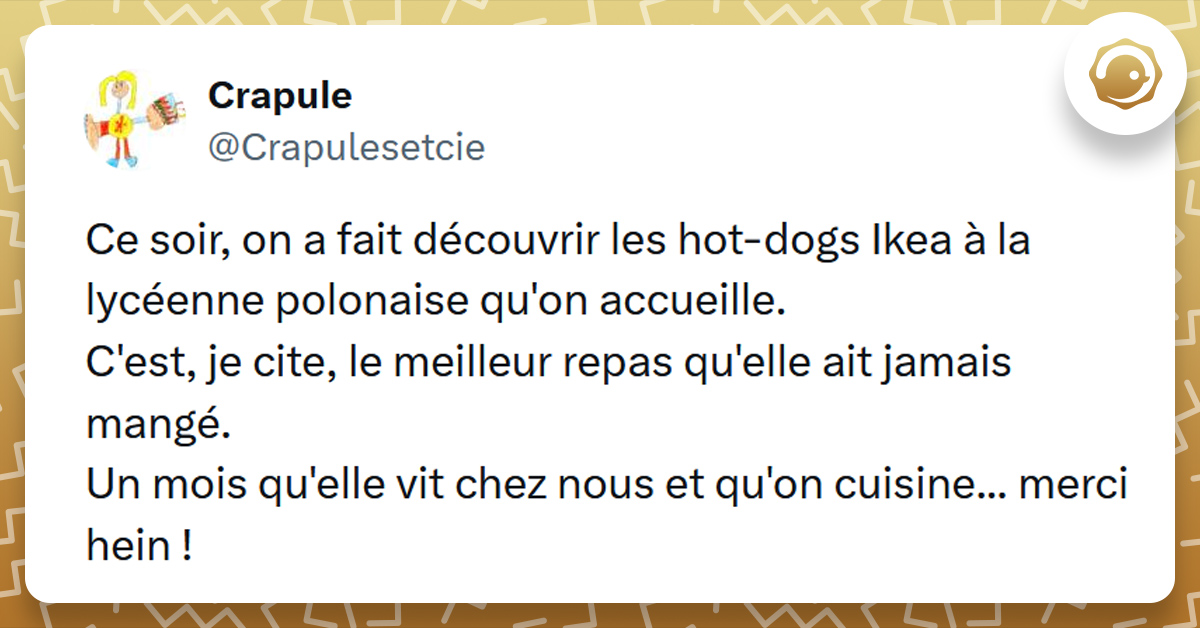 Tweet liseré de jaune de @Crapulesetcie disant "Ce soir, on a fait découvrir les hot-dogs Ikea à la lycéenne polonaise qu'on accueille. C'est, je cite, le meilleur repas qu'elle ait jamais mangé. Un mois qu'elle vit chez nous et qu'on cuisine... merci hein !"