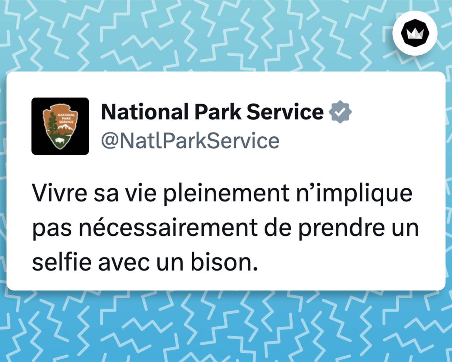 Tweet de NatlParkServices : 

Vivre sa vie pleinement n’implique pas nécessairement de prendre un selfie avec un bison.