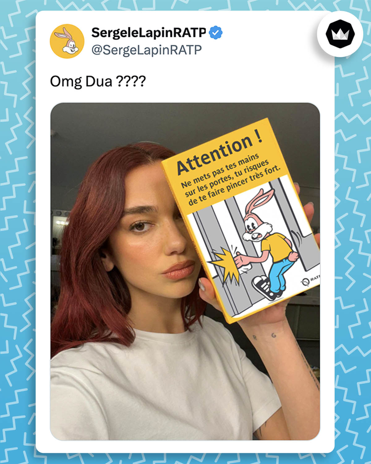 Tweet de SergeLapinRATP : 
"OMG Dua ????" avec la photo de Dua Lipa tenant l'affiche de Serge le Lapin "Attention ! Ne mets pas tes mains sur les portes, tu risques de te faire pincer très fort".