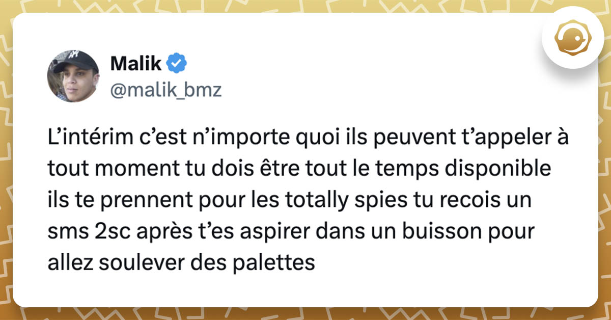 @malik_bmz L’intérim c’est n’importe quoi ils peuvent t’appeler à tout moment tu dois être tout le temps disponible ils te prennent pour les totally spies tu recois un sms 2sc après t’es aspirer dans un buisson pour allez soulever des palettes