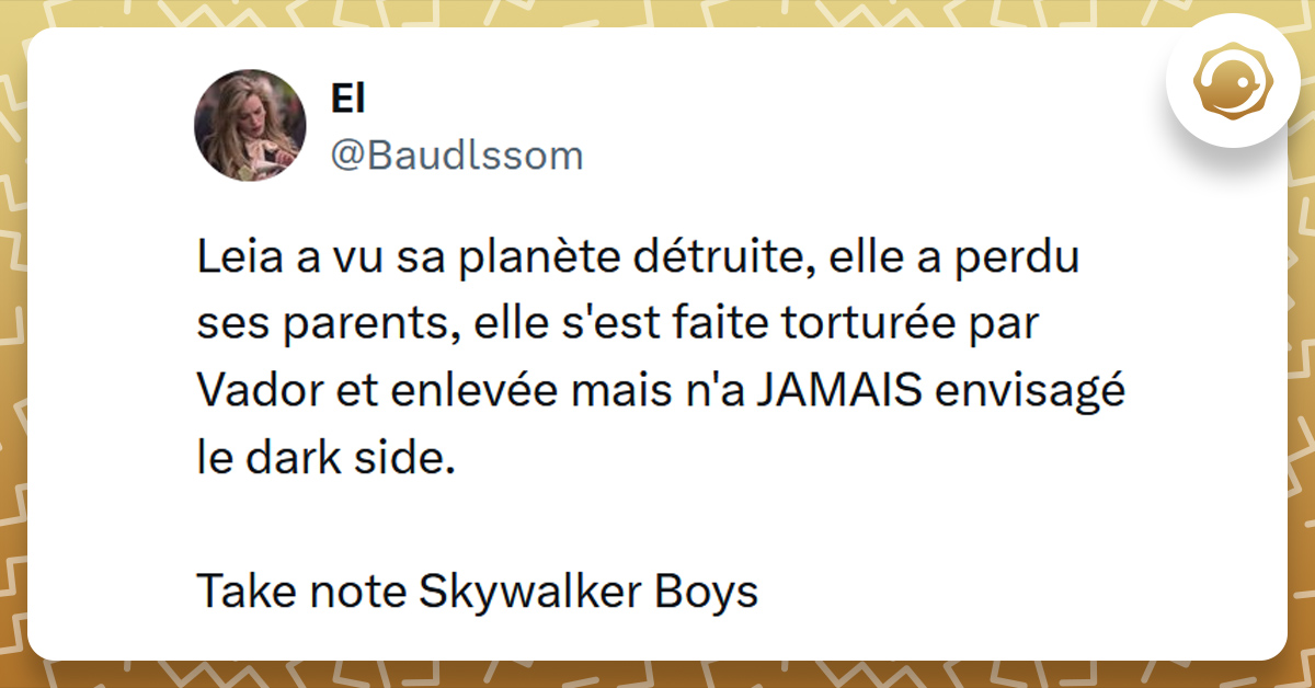 Tweet liseré de jaune de @Baudlssom disant "Leia a vu sa planète détruite, elle a perdu ses parents, elle s'est faite torturée par Vador et enlevée mais n'a JAMAIS envisagé le dark side. Take note Skywalker Boys"