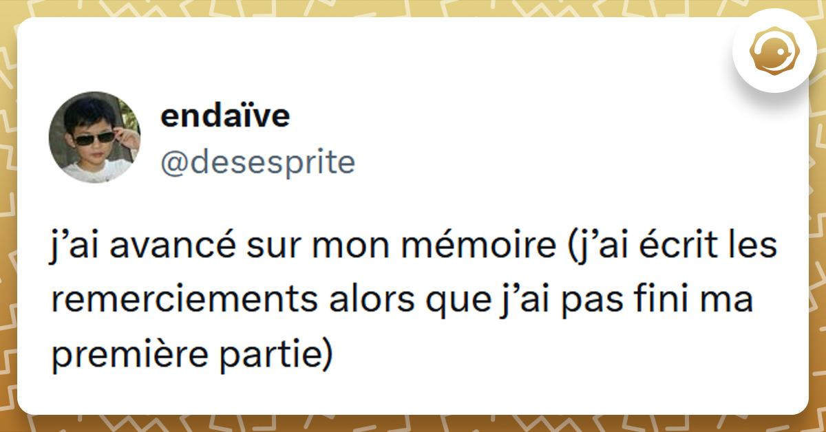 Tweet liseré de jaune de @desesprite disant "j’ai avancé sur mon mémoire (j’ai écrit les remerciements alors que j’ai pas fini ma première partie)"