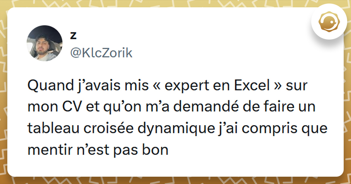 Tweet liseré de jaune de @KlcZorik disant "Quand j’avais mis « expert en Excel » sur mon CV et qu’on m’a demandé de faire un tableau croisée dynamique j’ai compris que mentir n’est pas bon"