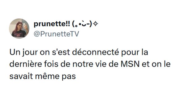 Image de couverture de l'article : Les 15 meilleurs tweets de @prunetteTV