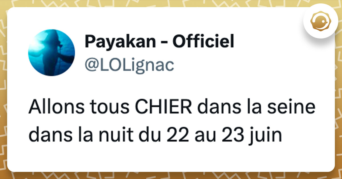 Tweet de @LOLignac en réaction au fait qu'Emmanuel Macron et Anne Hidalgo se baigneront dans la Seine le 23 juin : "Allons tous CHIER dans la seine dans la nuit du 22 au 23 juin"