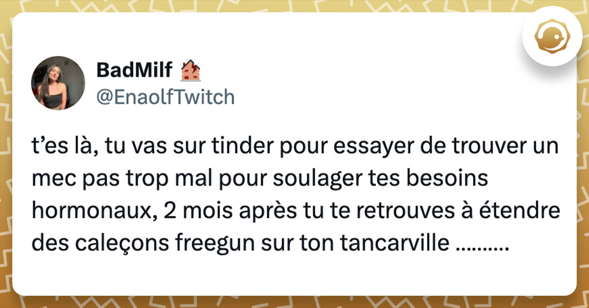 Tweet de @EnaolfTwitch : "t&rsquo;es l&agrave;, tu vas sur tinder pour essayer de trouver un mec pas trop mal pour soulager tes besoins hormonaux, 2 mois apr&egrave;s tu te retrouves &agrave; &eacute;tendre des cale&ccedil;ons freegun sur ton tancarville &hellip;&hellip;&hellip;."