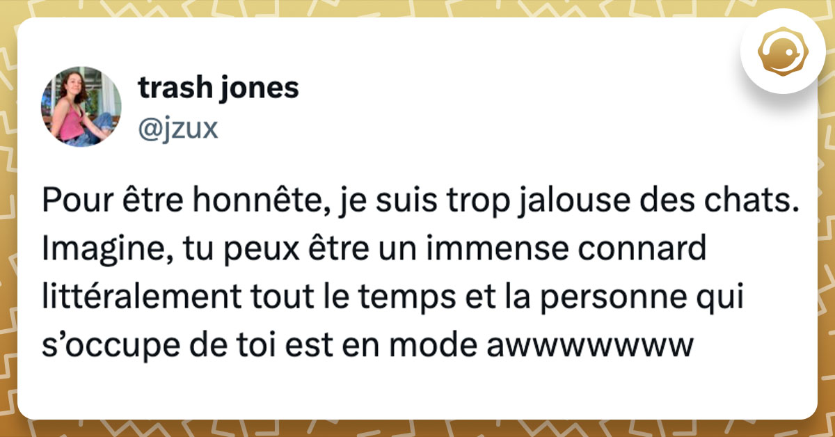 Tweet de @jzux : "Pour être honnête, je suis trop jalouse des chats. Imagine, tu peux être un immense connard littéralement tout le temps et la personne qui s’occupe de toi est en mode awwwwwww"