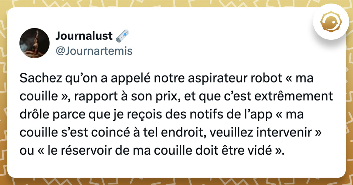 Tweet de @Journartemis : "Sachez qu’on a appelé notre aspirateur robot « ma couille », rapport à son prix, et que c’est extrêmement drôle parce que je reçois des notifs de l’app « ma couille s’est coincé à tel endroit, veuillez intervenir » ou « le réservoir de ma couille doit être vidé »."