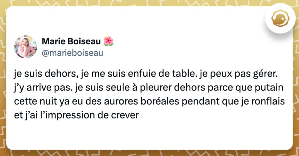 Tweet de @marieboiseau : "je suis dehors, je me suis enfuie de table. je peux pas gérer. j’y arrive pas. je suis seule à pleurer dehors parce que putain cette nuit ya eu des aurores boréales pendant que je ronflais et j’ai l’impression de crever"