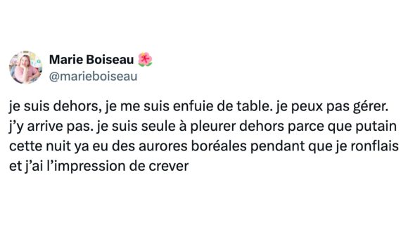 Image de couverture de l'article : Top 15 des meilleurs tweets sur les aurores boréales, qui les a vues ?