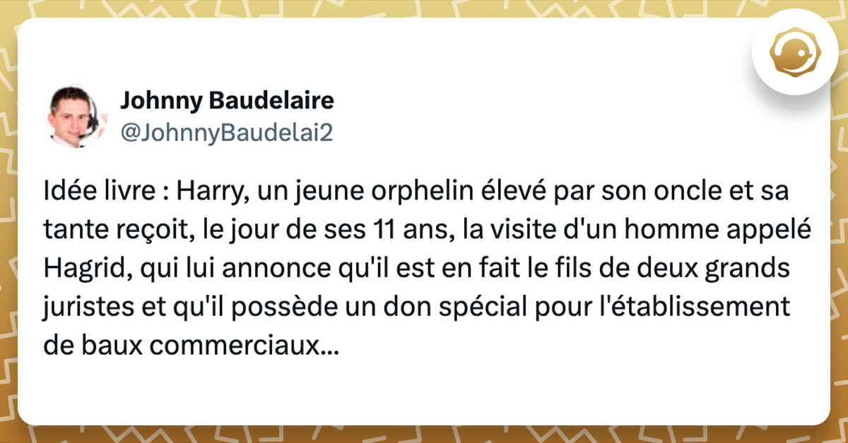 Tweet de @JohnnyBaudelai2 : "Idée livre : Harry, un jeune orphelin élevé par son oncle et sa tante reçoit, le jour de ses 11 ans, la visite d'un homme appelé Hagrid, qui lui annonce qu'il est en fait le fils de deux grands juristes et qu'il possède un don spécial pour l'établissement de baux commerciaux..."