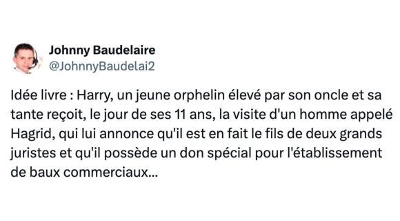 Image de couverture de l'article : Bizarre, vous avez dit bizarre ? Les 15 tweets les plus perchés de la semaine, épisode 36