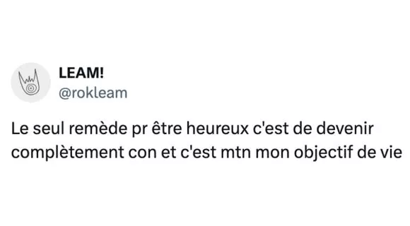 Image de couverture de l'article : Top 15 des meilleurs tweets sur le bonheur, c’est quand ?