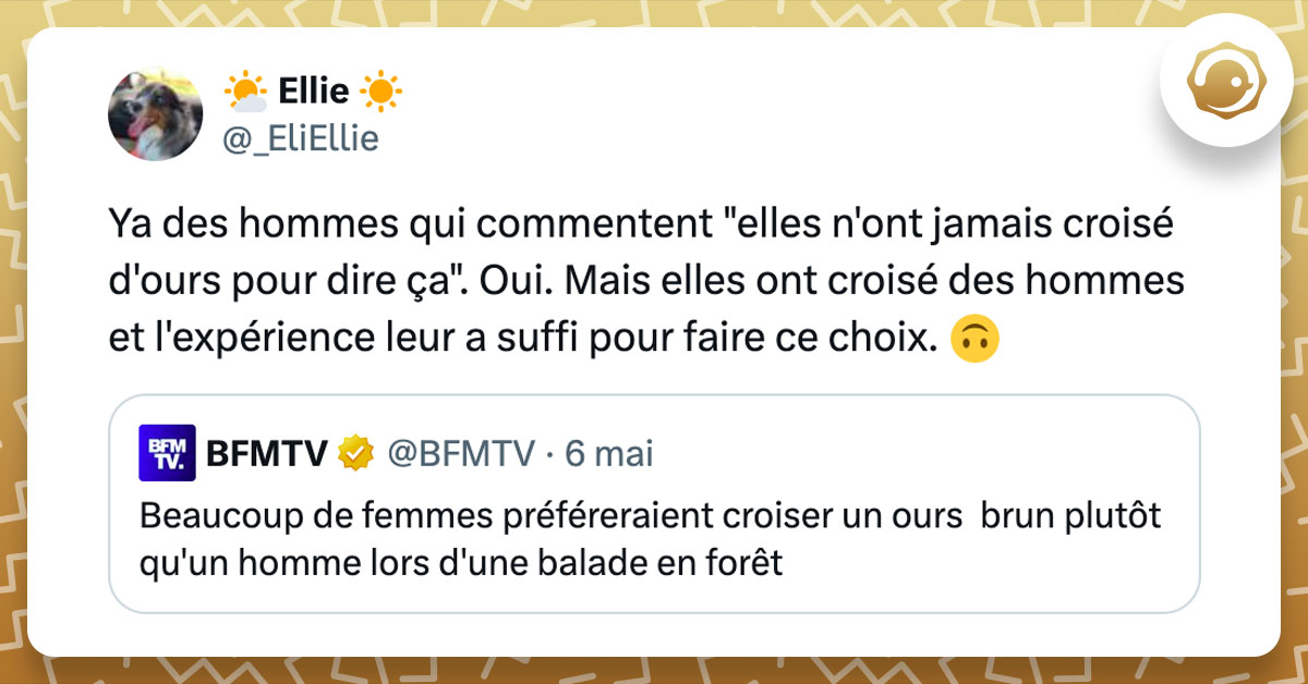 Tweet de @_EliEllie en réaction à un article disant que la plupart des femmes préféreraient se retrouver seules en forêt face à un ours plutôt que face à un homme : "Ya des hommes qui commentent "elles n'ont jamais croisé d'ours pour dire ça". Oui. Mais elles ont croisé des hommes et l'expérience leur a suffi pour faire ce choix. 🙃"