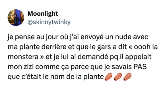 Image de couverture de l'article : Top 15 des meilleurs tweets sur les plantes, qui sait s’en occuper ?