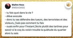 Tweet de @MIAJOASG : "- tu fais quoi dans la vie ? - élève avocate - donc tu vas défendre des tueurs, des terroristes et des violeurs, j’sais pas comment tu fais - ouais enfin pour l’instant j’écris plutôt des tartines pour savoir si le coq du voisin trouble la quiétude du quartier alors tu sais"